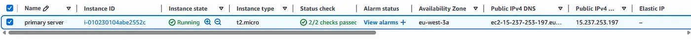 Shows the primary EC2 instance in running state with passed health checks. Confirms the server is ready to serve traffic.